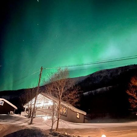 Hundbergan Apartment-Free Parking-15 Min From Tromso Tromsdalen Εξωτερικό φωτογραφία