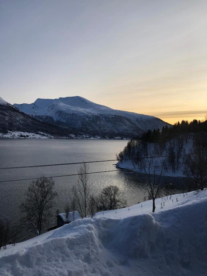 Hundbergan Apartment-Free Parking-15 Min From Tromso Tromsdalen Εξωτερικό φωτογραφία